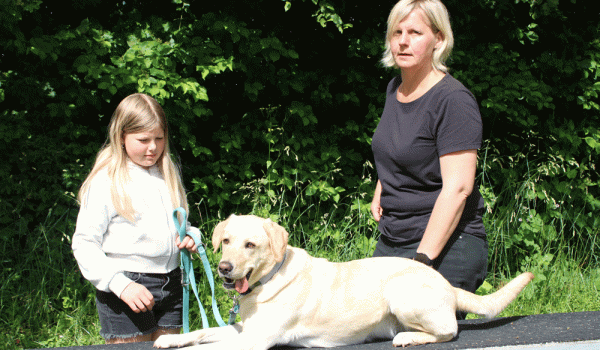 Familienhunde-1