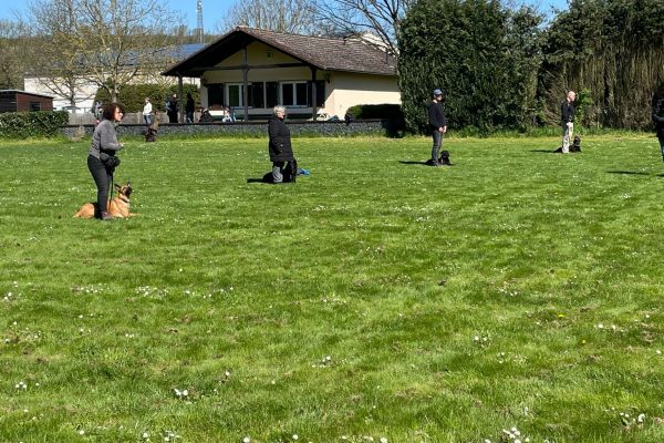 HSVO-Begleithundegruppe-1