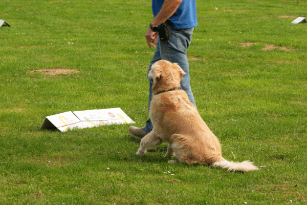 Rally-O-Training-1