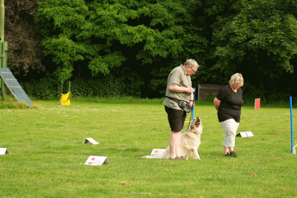 Rally-O-Training