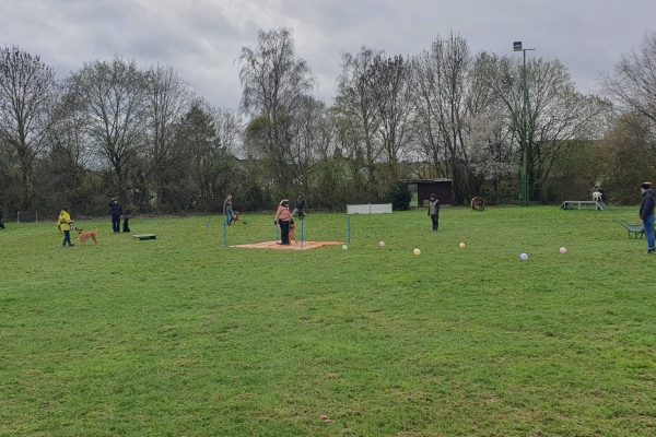 Verhaltenstraining Spassparcours 1