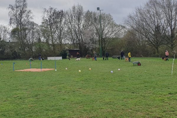 Verhaltenstraining Spassparcours 3